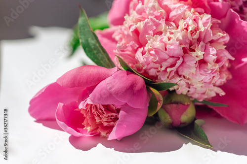 Flower composition. Close-up bouquet of delicate pink peonies lies on a white surface. Spring or summer floral background. Photo for flower shops, greeting cards. Mother's day concept. Soft focus.