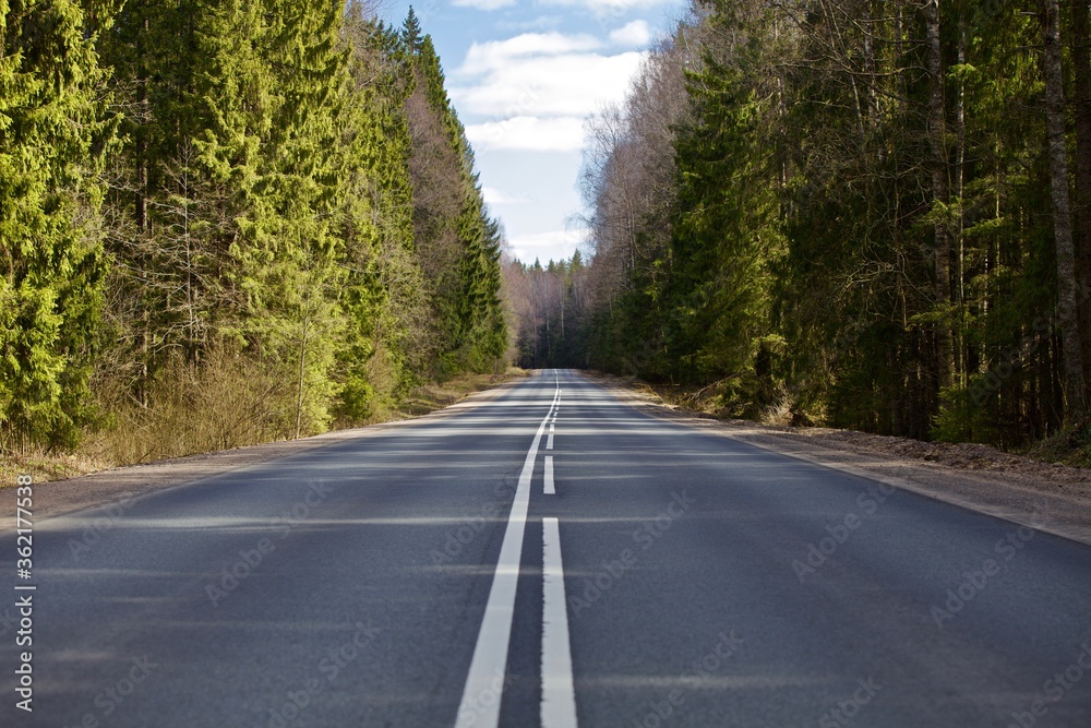 Straight empty asphalt road through the coniferous forest. Modern countryside road leading into the distance. Highway surface close up. Diminishing perspective road view. Traveling by car. Road trip. Straight empty asphalt road through the coniferous forest. Modern countryside road leading into the distance. Highway surface close up. Diminishing perspective road view. Traveling by car. Road trip.
