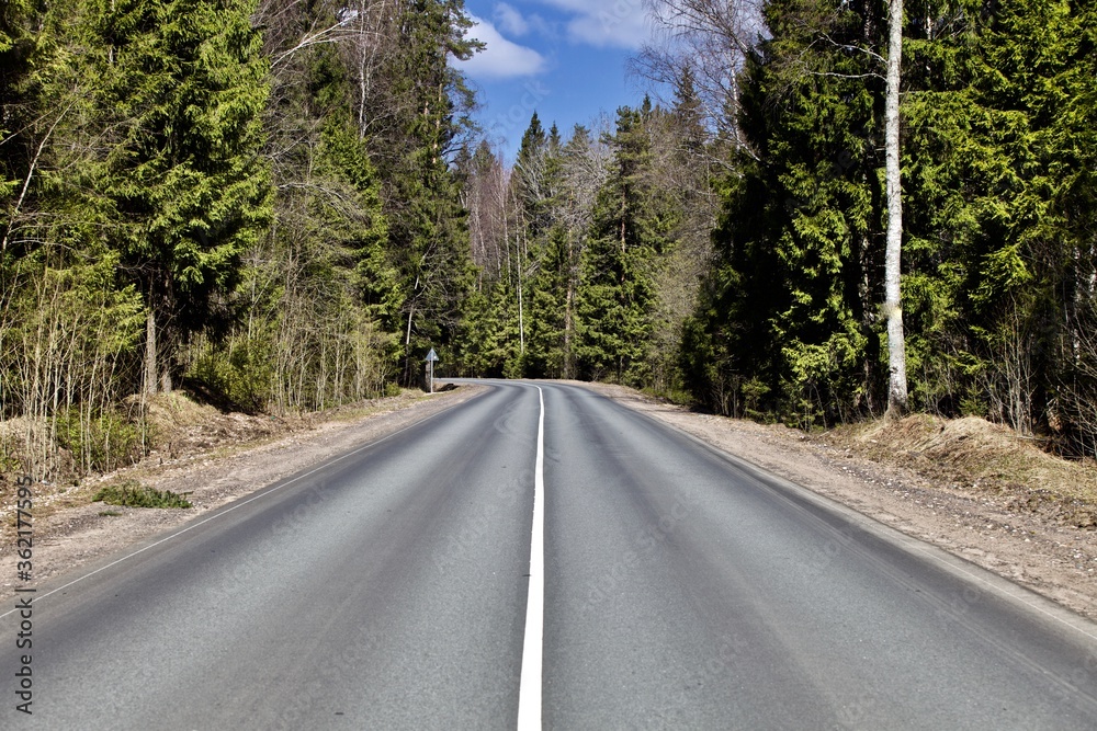 Straight empty asphalt road through the coniferous forest. Modern countryside road leading into the distance. Highway surface close up. Diminishing perspective road view. Traveling by car. Road trip.