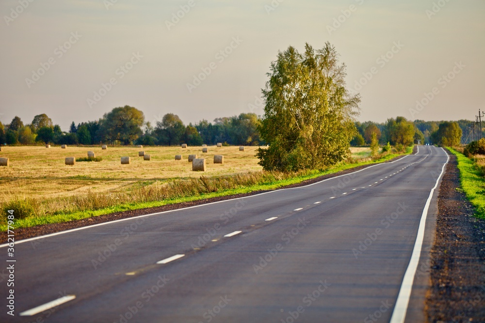 Asphalt empty country road leading into the distance through fields and forests. Modern countryside roads infrastructure. Countryside transportation road system. Perspective road view. Motorway system
