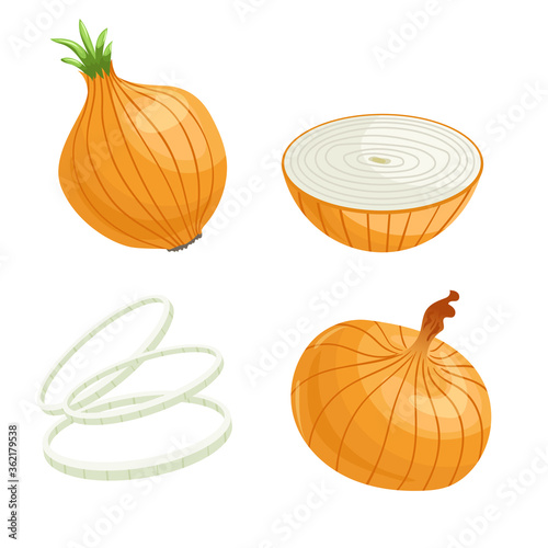 Cartoon brown or yellow onions set. Whole unpeeled, half, onion rings. Fresh farm market vegetables vector illustrations collection.