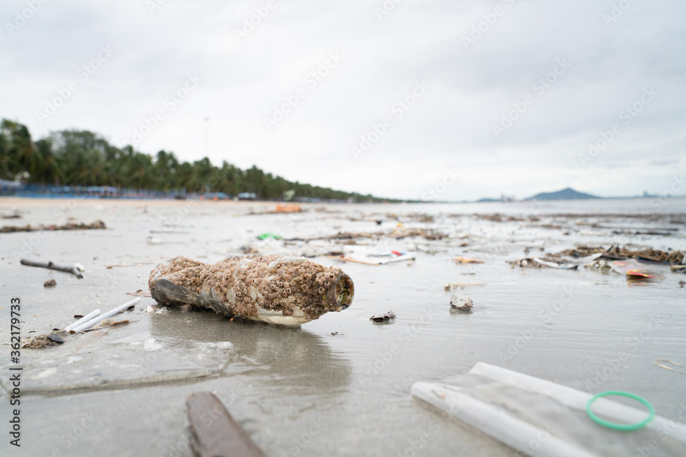Plastic bottle covered in sea barnacles and sponges (foulers) and cast