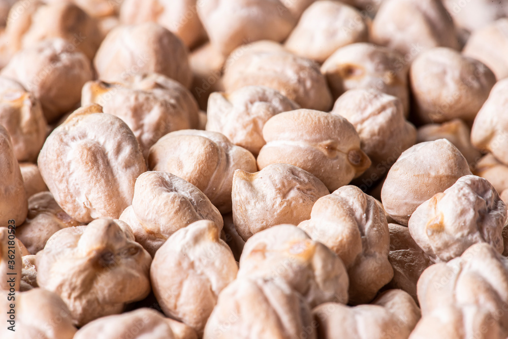 Raw chickpeas grains seen up close