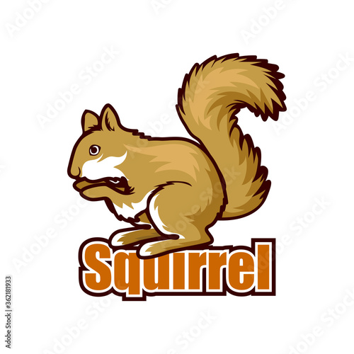 squirrel logo isolated on white background vector illustration