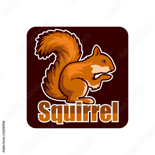 squirrel logo isolated on white background vector illustration