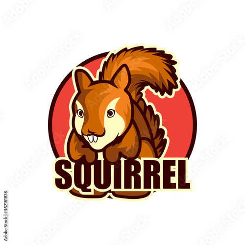 squirrel logo isolated on white background vector illustration