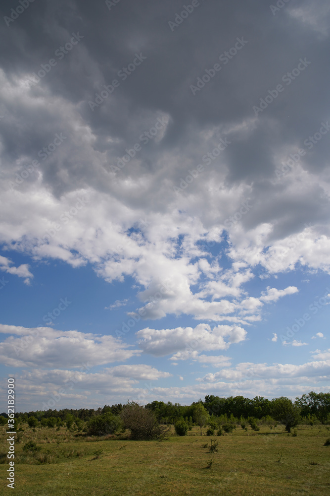 Empty meadow pasture for cows, cattle, lambs. On a cloudy but sunny summer day. Tápióbicske - Hungary