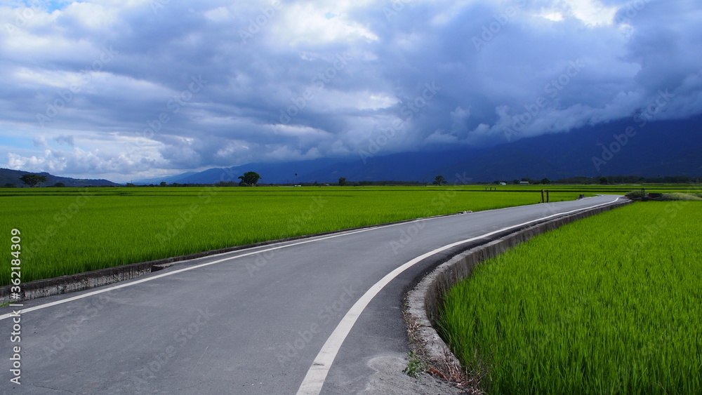 rural road in the fields of the countryside