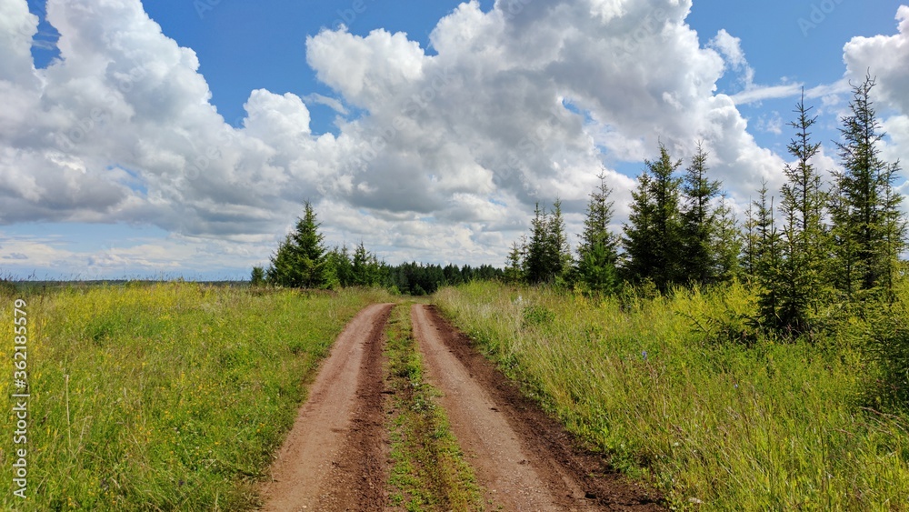 road in a field among green grass and trees on a sunny day against a blue sky with beautiful clouds road in a field among green grass and trees on a sunny day against a blue sky with beautiful clouds