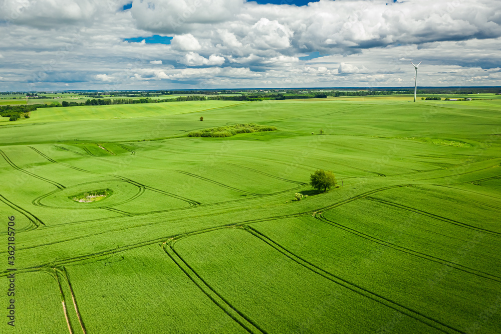 Amazing green field in sunny day, aerial view Amazing green field in sunny day, aerial view