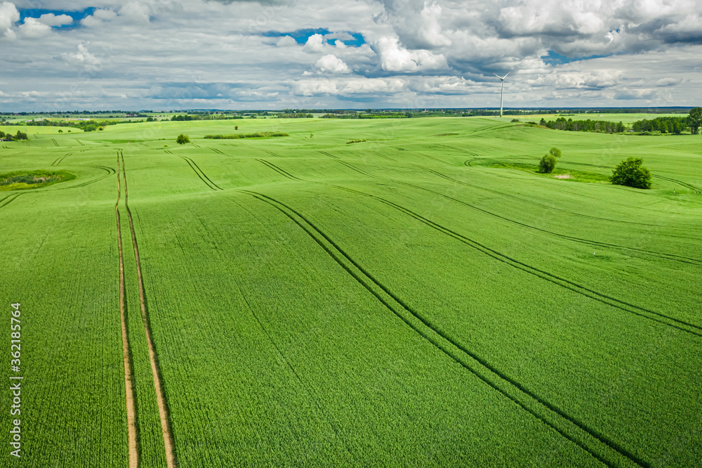 Obraz premium Beautiful aerial view of green field in summer