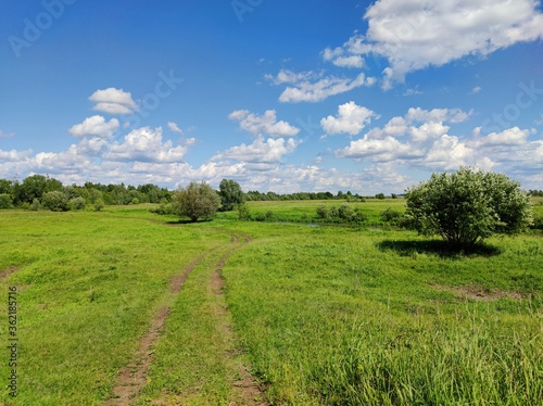 winding road in a field among green grass and trees on a sunny day against a blue sky with clouds
