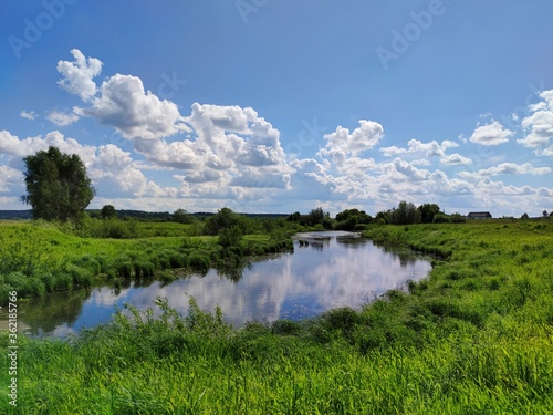 Fototapeta Naklejka Na Ścianę i Meble -  a small lake among a green field on a background of blue cloudy sky on a sunny day