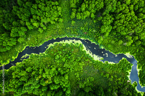 Beautiful blooming algae on the river in spring, aerial view