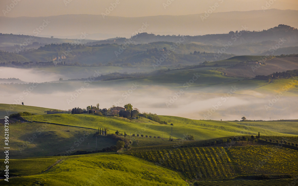 Hilly countryside Tuscany