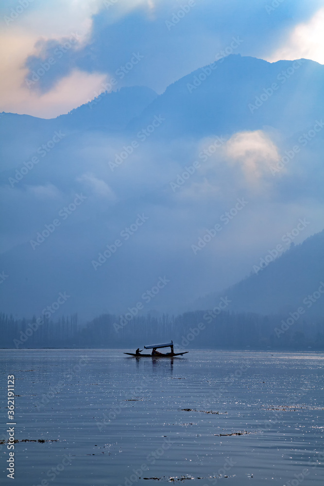 Shikara boats on Dal lake in Srinagar
