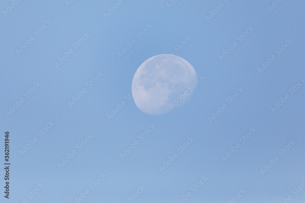 Pale morning moon Pale morning moon