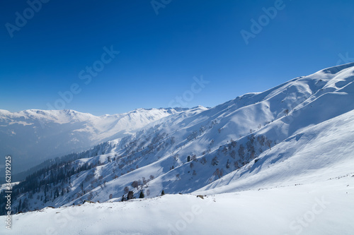 Snow Covered Himalayan Mountains in Gulmarg © artqu