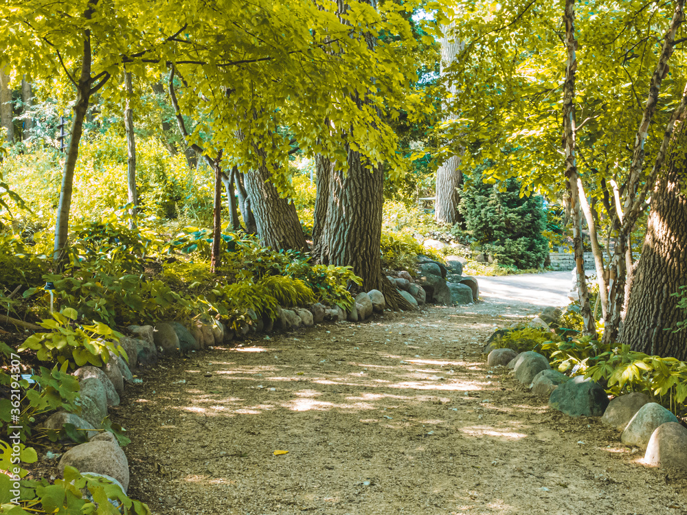 A winding boulder-lined path among golden colored trees in a botanical garden.