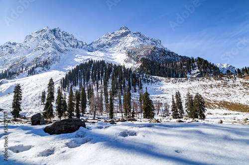 Snow covered at Himalayan Mountains with pine trees near Sonmarg