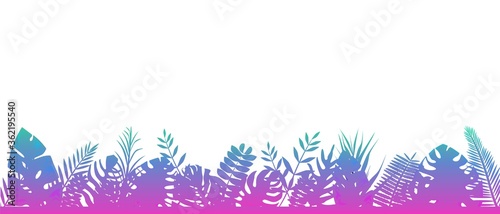 Fern background blue pink. Decoration horizontal rainforests floral botanical background with elegant tenderly leaves of fern wild natural lawn in the rays of the rising vector sun.