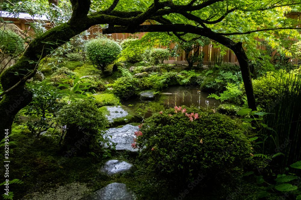 京都 大原 宝泉院 新緑と初夏の景色