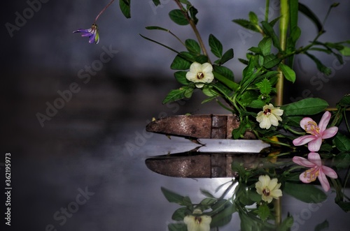 Flowers as wallpaper with reflection