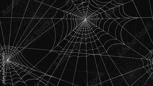 Spider web pattern seamless. White spider web drawings on black background graphic trap design danger of creepy insects abstract celebration vector halloween.
