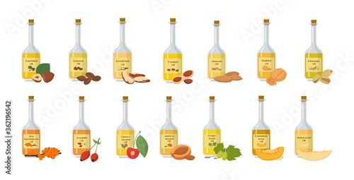 Glass bottles with oil set. Stylish container with natural oils melon rosehip red pistachio green healthy avocado fragrant almonds medicinal needles nutritious olive for salad sunflower vector cedar.