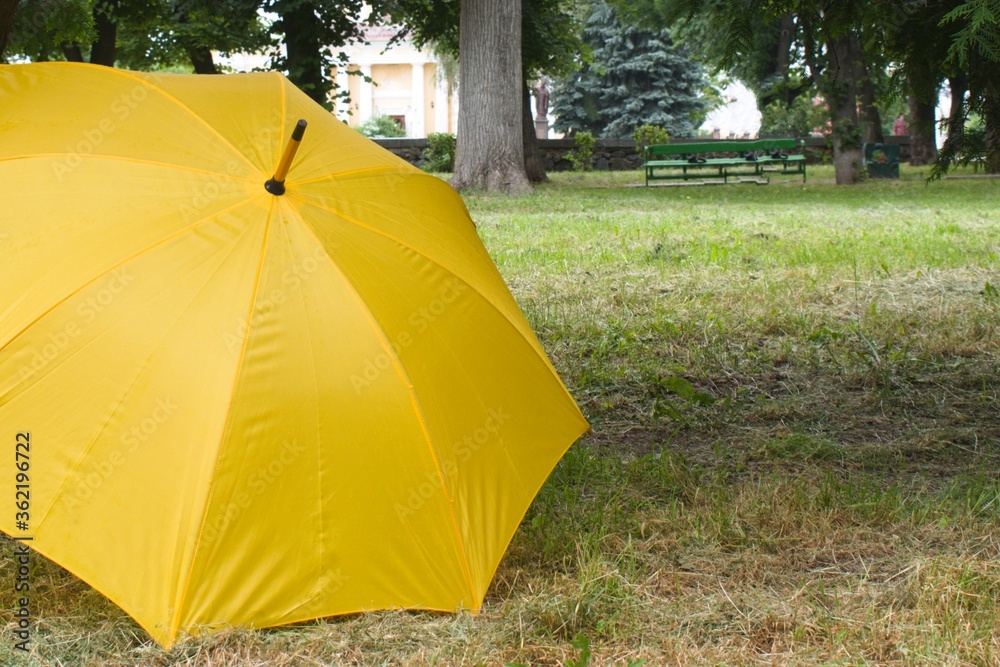 yellow umbrella in the park on the grass