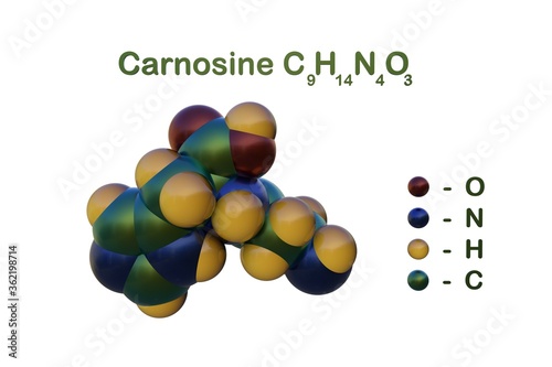 Structural chemical formula and space-filling molecular model of carnosine that highly concentrated in muscle and brain tissues. Scientific background. 3d illustration photo