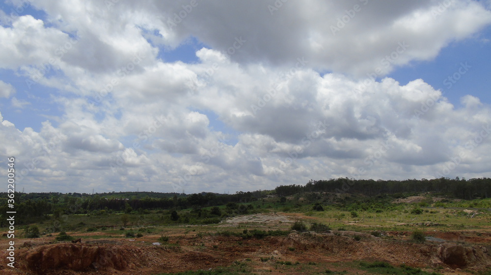 clouds over the forest