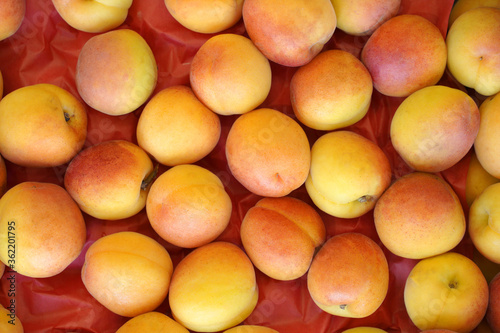 fresh apricots on the red paper