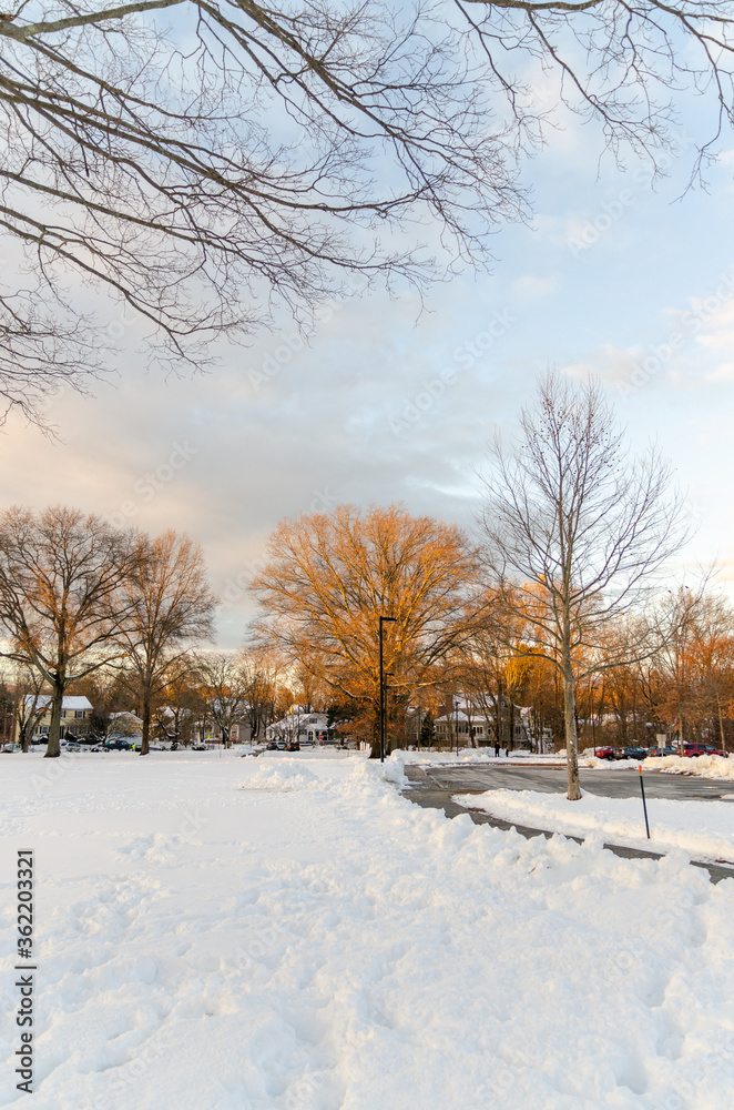 Concord, Boston - December 05, 2019: Sunset on winter day with snow and trees