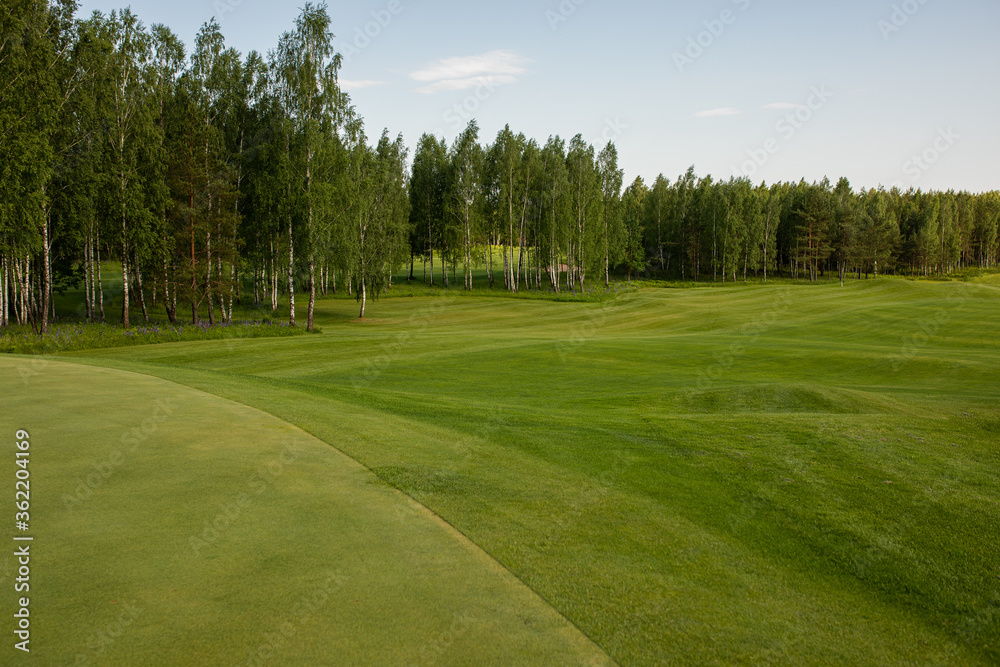 The photo shows a golf course, green grass and trees. The photo shows a golf course, green grass and trees.