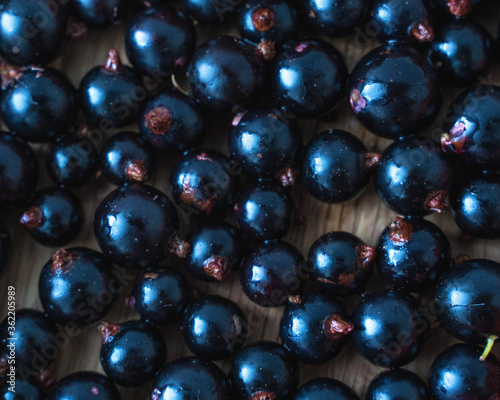 fresh black currant background  healthy food