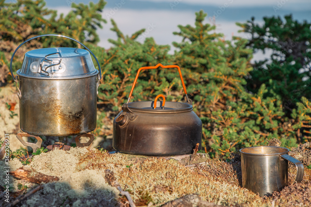 Obraz premium mug and a kettle standing on a gas burner against Pinus sylvestris Albyns