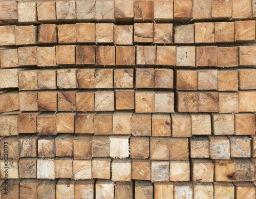 Cross section of timber wood Wood texture, wooden pallet