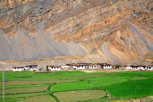 Himalayan landscape near Hull. Spiti Valley, Himachal Pradesh, India photo