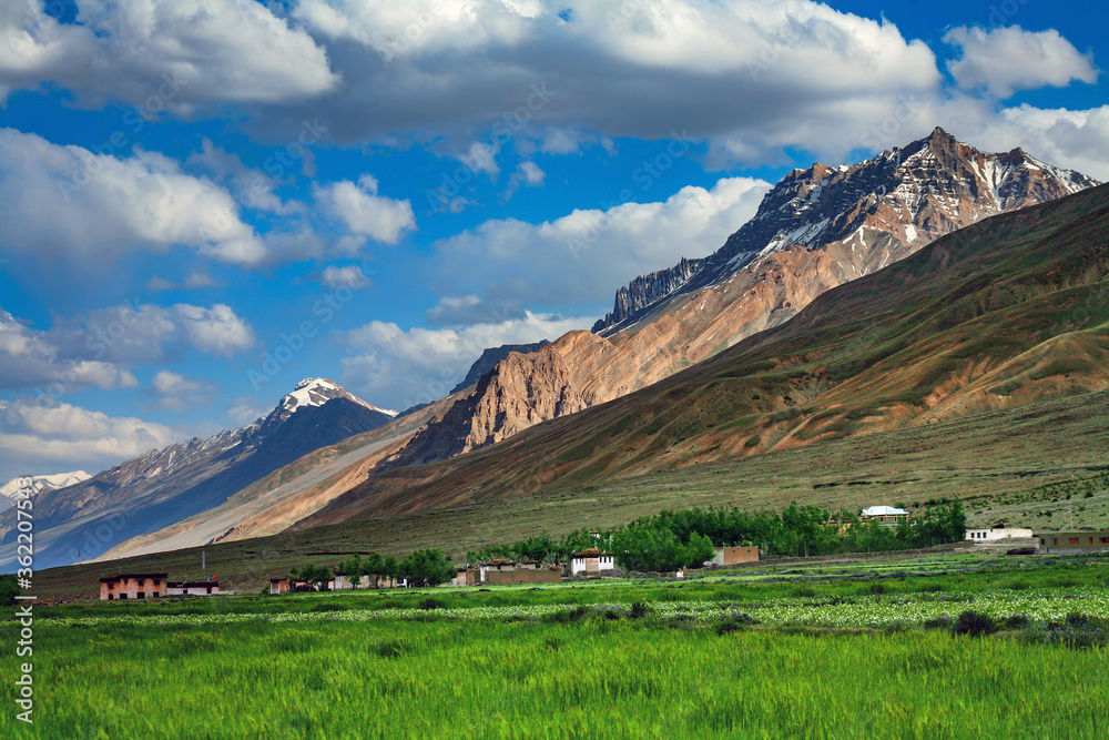 Fields in Spiti Valley in Himalayas. Himachal Pradesh, India Fields in Spiti Valley in Himalayas. Himachal Pradesh, India