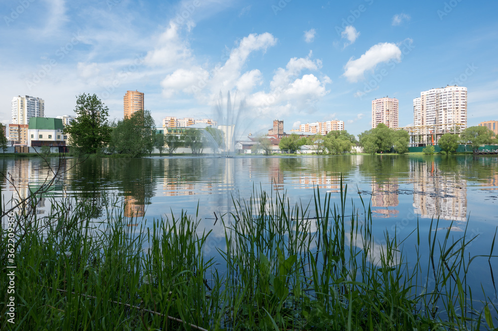 Naklejka premium W parku „Staw fabryczny”, Reutov, obwód moskiewski, Federacja Rosyjska, 06 czerwca 2020 r