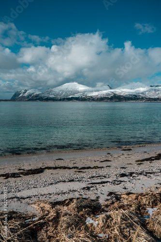 Amazing norwegian landscape with azure sea, scenic beach full of shells and snowy mountains in the background. 