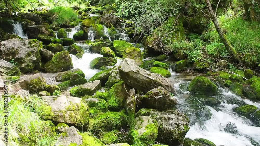 hairy landscape that forms the water as it flows between the stones in the mountain hairy landscape that forms the water as it flows between the stones in the mountain