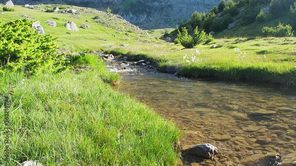 hairy landscape that forms the water as it flows between the stones in the mountain hairy landscape that forms the water as it flows between the stones in the mountain