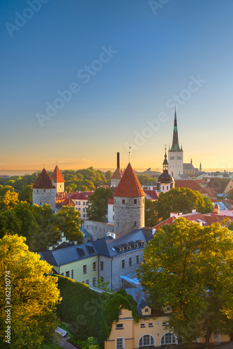 Tallinn  Estonia Old City Skyline