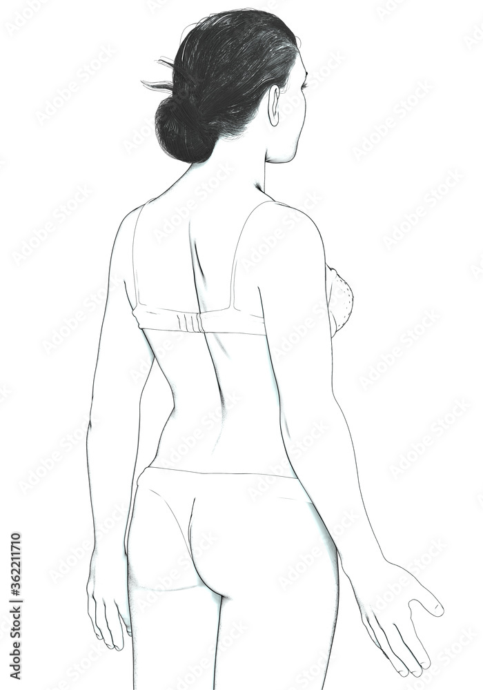 3d rendered illustration of the female body 3d rendered illustration of the female body