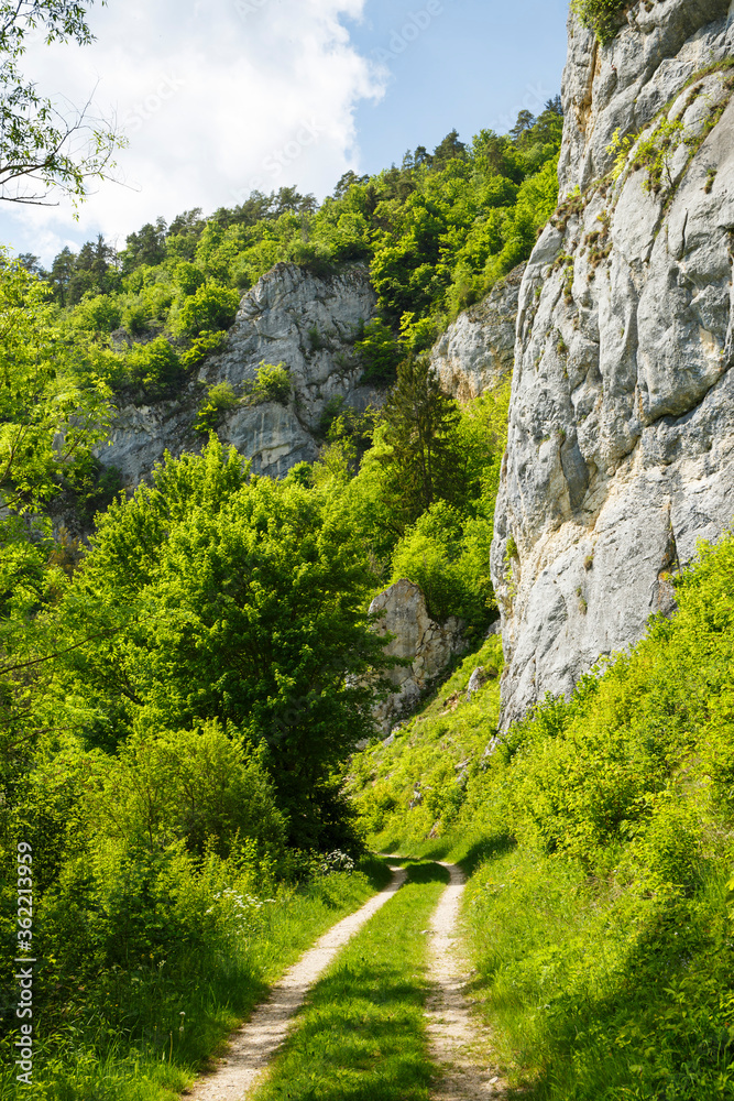 Wanderweg bei Stiegelesfelsen im Oberen Donautal nahe Fridingen