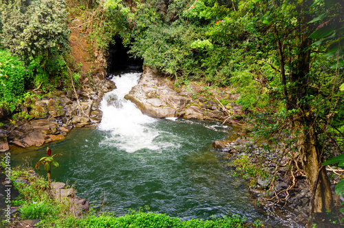 Scenic landscape with lush evergreen rainforest vegetation at Small Falls above Bridge view point on Old Mamalahoa Highway on Big Island in Hawaii with Kawainui Stream Creek photo