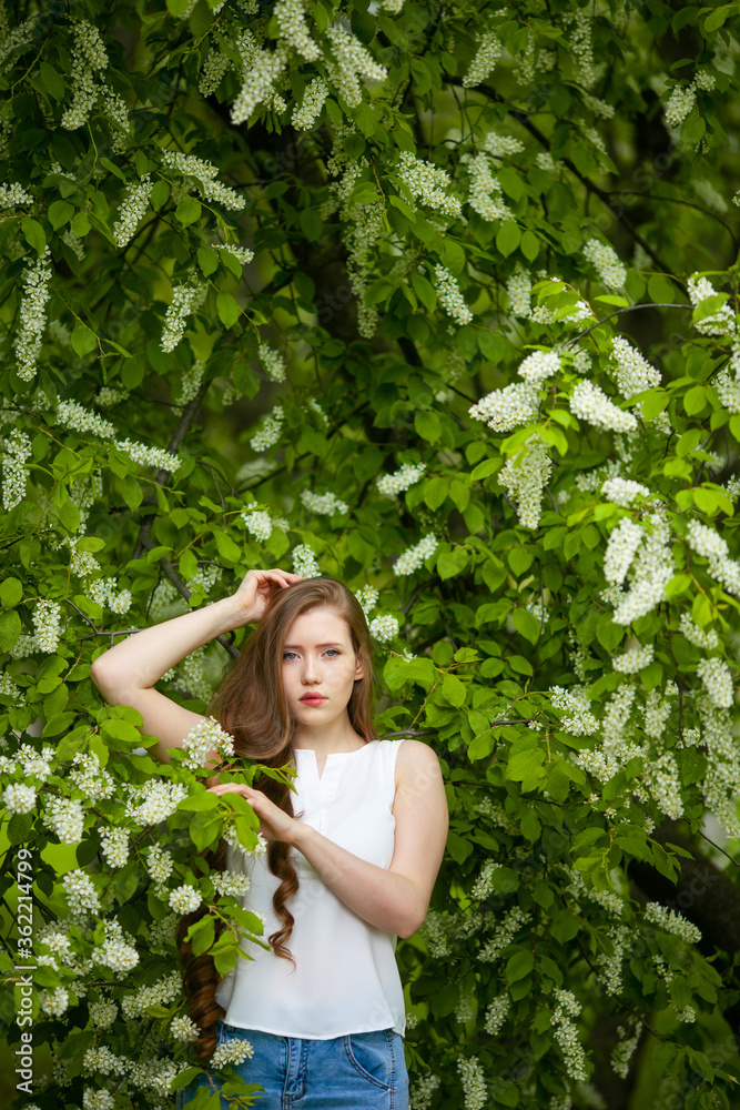Portrait of woman on a background of blooming bird cherry. Portrait of woman on a background of blooming bird cherry.