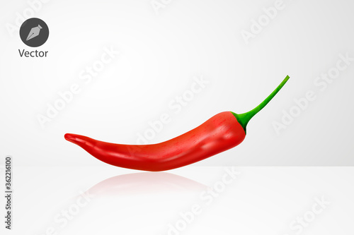 Realistic Chilli. Vector illustration with texture.